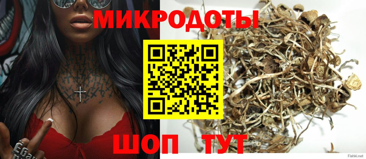 Псилоцибиновые грибы Cubensis Коряжма