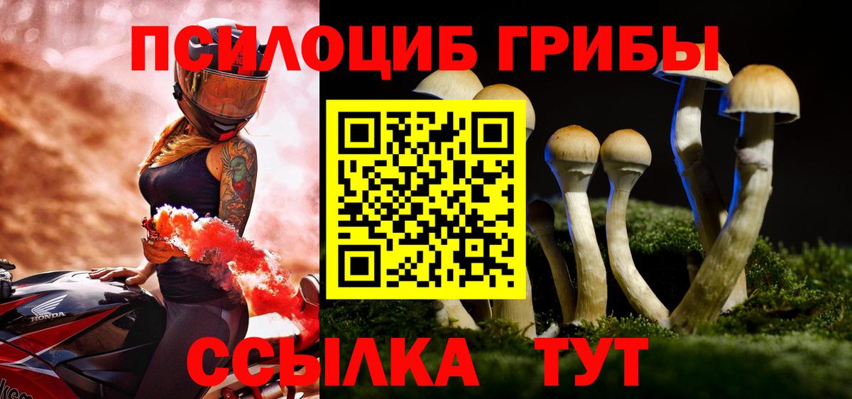Галлюциногенные грибы MAGIC MUSHROOMS  Псилоцибиновые грибы Magic Shrooms  купить  цена  Коряжма  Вход с VPN 
